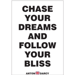 CHASE-YOUR-DREAMS-FOLLOW-YOUR-BLISS-BOW.jpg